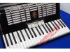Galotta full size accordion finished in black